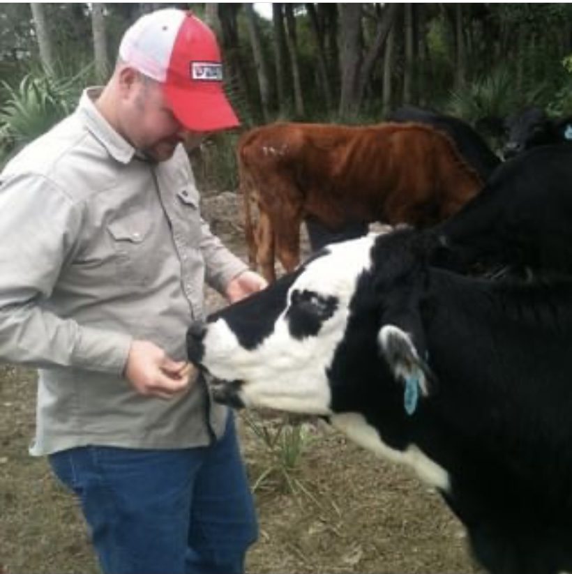 Todd Keller feeding a cow